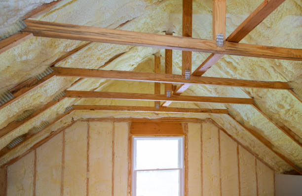 Best Insulation Maintenance and Repair in Candlewick Lake, IL
