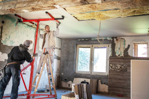 Best Insulation Installation Services in Candlewick Lake, IL