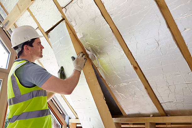 Best Commercial Insulation in Candlewick Lake, IL