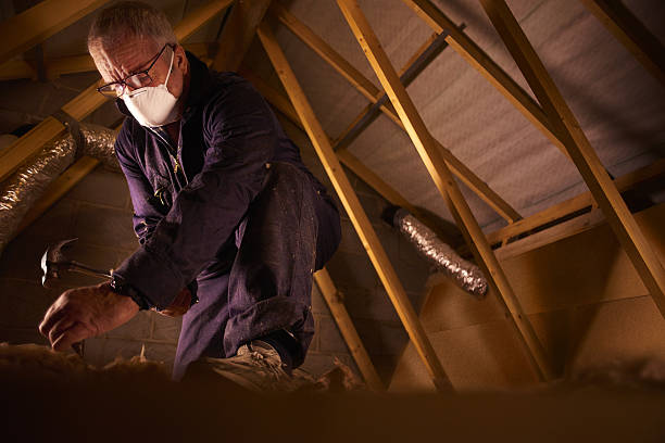 Best Specialty Insulation in Candlewick Lake, IL